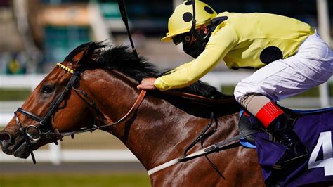 check winnings horse racing.